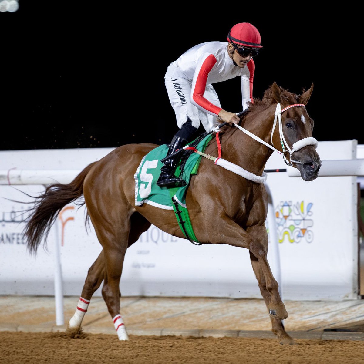 JCSA (@jcsa_racing) on Twitter photo Congrats, <a href="/alshr567/">محمد الشريماء</a>! 🙌
Reaches the 50-win mark in Saudi Arabia and graduates accordingly to the senior riding ranks.
#TaifSeason | #SaudiRacing Congrats, <a href="/alshr567/">محمد الشريماء</a>! 🙌
Reaches the 50-win mark in Saudi Arabia and graduates accordingly to the senior riding ranks.
#TaifSeason | #SaudiRacing