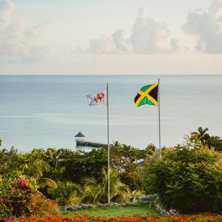 The Tryall Club tweet media