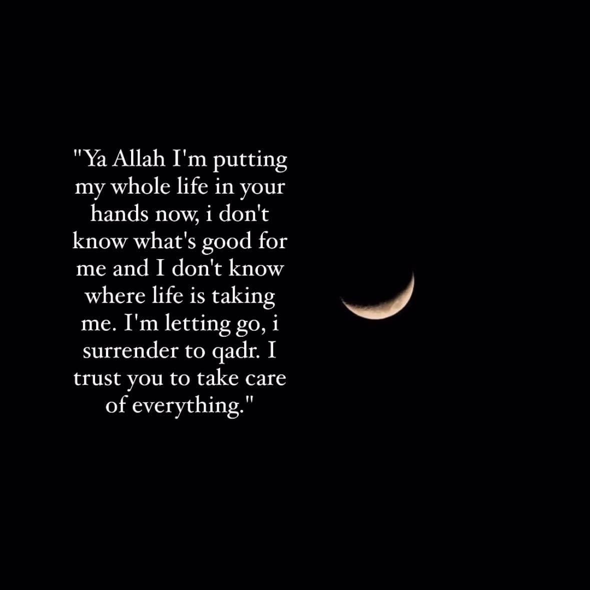 Doc_Shumaila's tweet image. 🌟