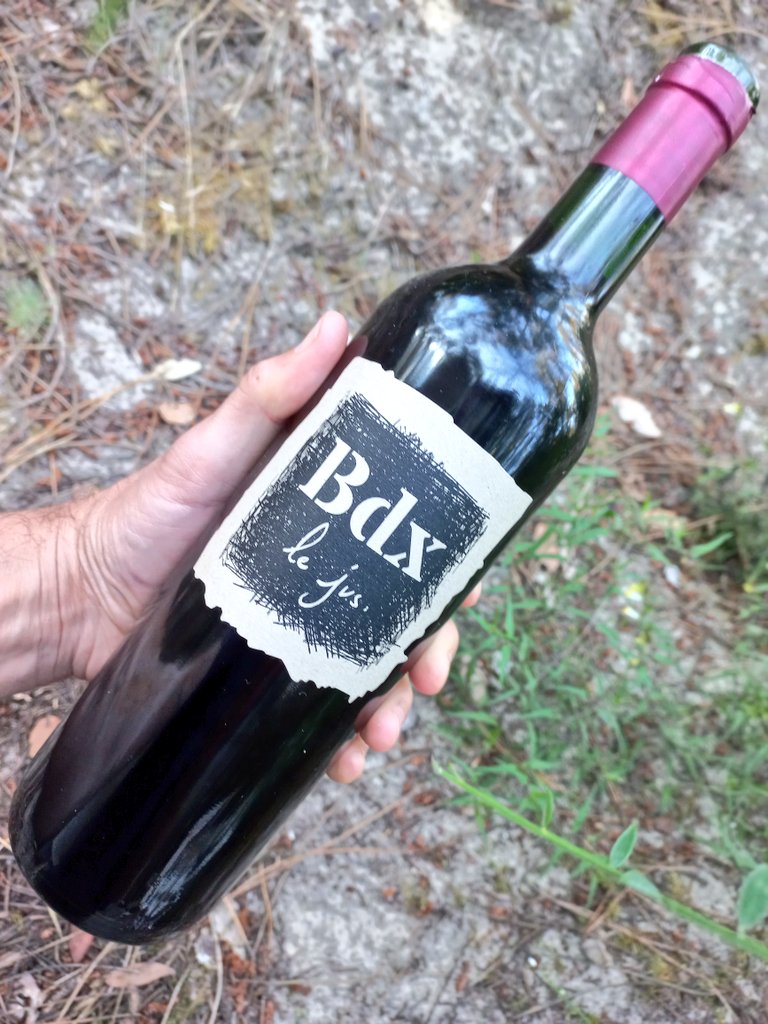 Fruité, net, digeste. Joyeux. Ça ne se pousse pas du col. Le rapport qualité-prix (10 euros, en bio) est là. Dans ce verre, je crois, comme <a href="/StfDerenoncourt/">DerenoncourtStéphane</a> <a href="/DereConsultants/">Derenoncourt Consultants</a> qu'il y a un chemin de sortie de crise pour les vins de Bordeaux. Personnellement, mettez m'en une caisse.