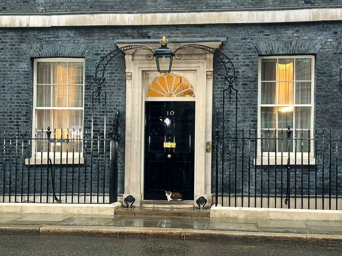 Lots of change in Number 10 but some things remain the same. Larry still very much at home in Downing Street tonight, despite the rain. #GE24 #DowningStreet