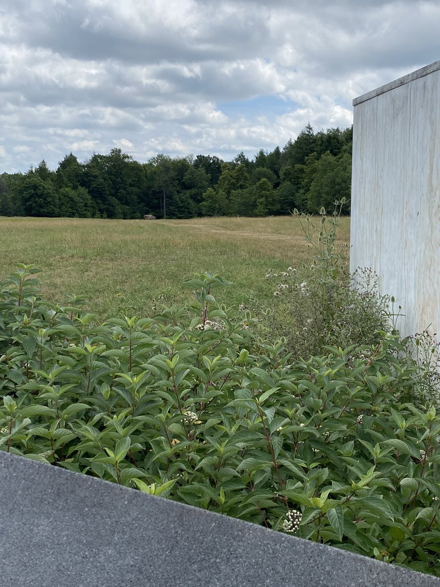 Timothy Loew tweet media