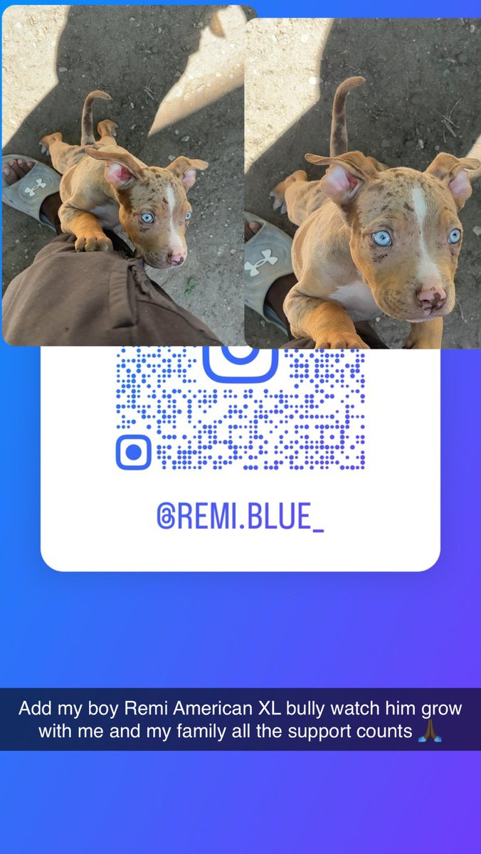 Starting an instagram for my XL stud check him out and watch him grow with me and my family All the support counts 🙏🏿🩵