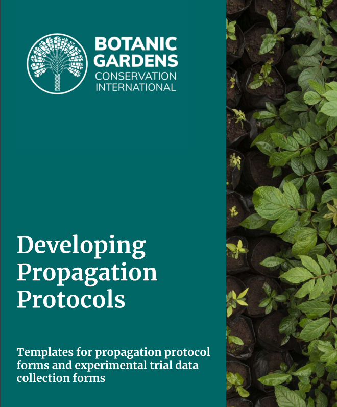 ¡Noticias emocionantes! <a href="/bgci/">Botanic Gardens Conservation International</a>  publicó un Manual de protocolos de #propagación.  Incluye formularios utilizables para redactar sus protocolos de propagación y diseñar sus ensayos experimentales. ¡La versión en español llegará pronto!
Acceda al manual aquí: bit.ly/3WdQ3CB