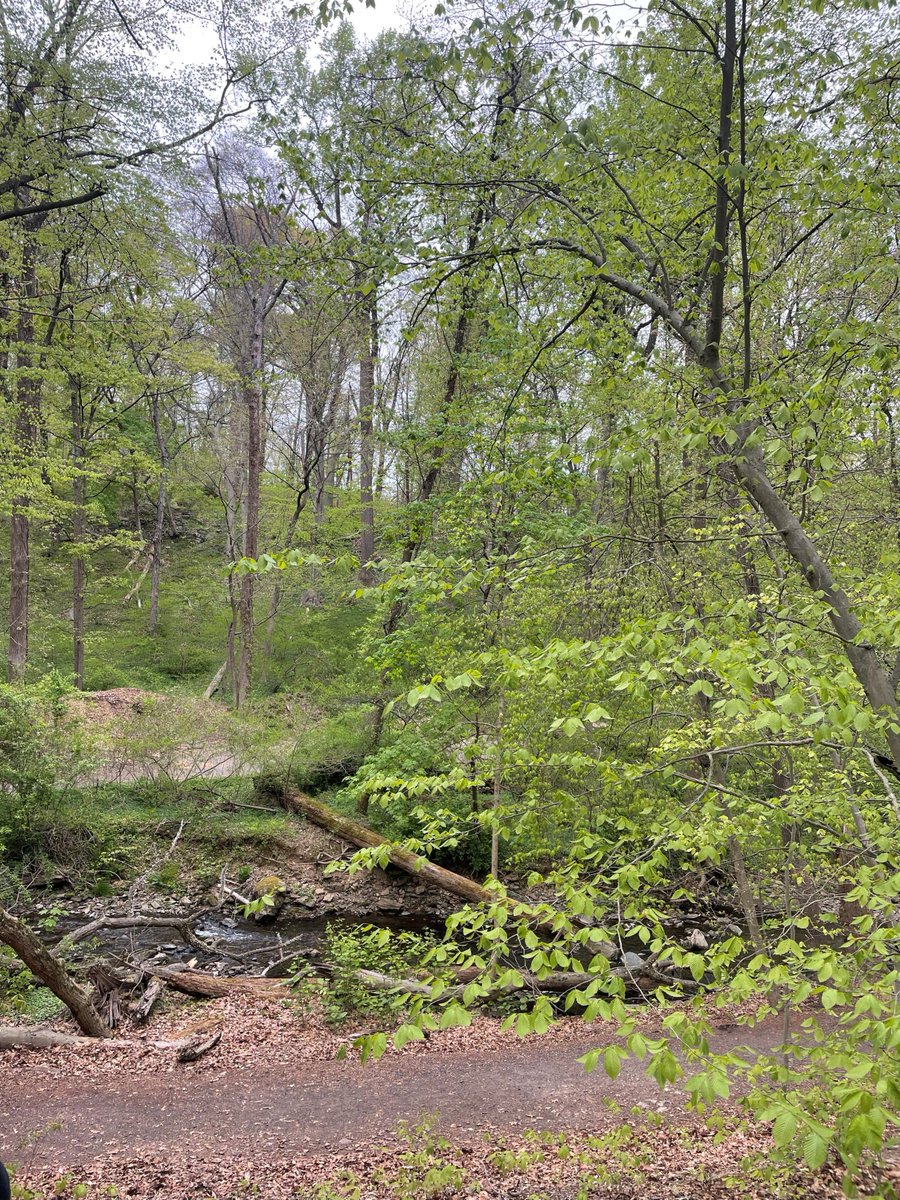 The Pennypack Trail is relatively flat, offering creek views, shady stretches, &amp; rock formations along the way. Mark this off as one your #MontcoTrailChallenge destinations! montgomerycountypa.gov/PennypackTrail

Learn more &amp; register: montgomerycountypa.gov/TrailChallenge

#HHSHealthPromotion #BeSafePA