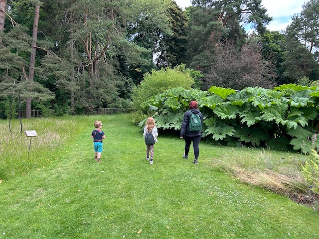 Scottish Tourist Guide Association tweet media