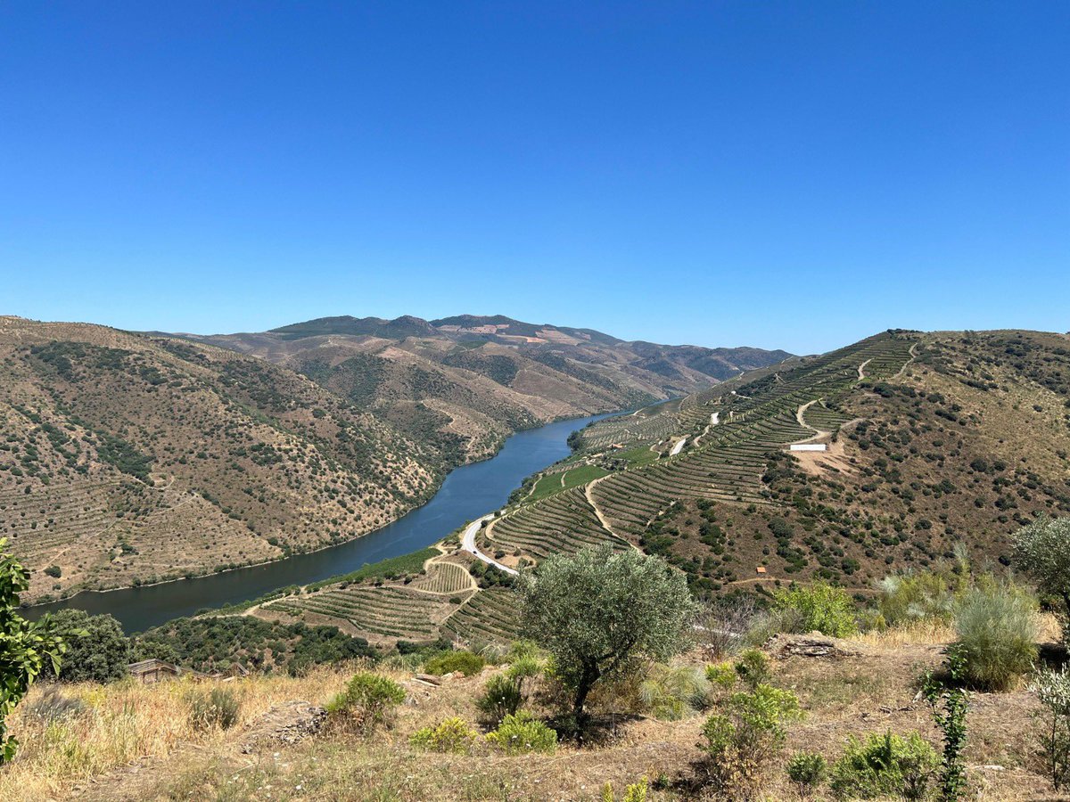 AECTDueroDouro's tweet photo. Ha sido un placer visitar esta semana Vila Nova de Foz Côa, Portugal 🇵🇹 para hacer balance del 1º semestre del proyecto #ECOSPHEREWINES 🍇🍷financiado por @6Sudoe (#interreg) del cual formamos parte 🍷🍇 Gracias #ADVID por la organización y la acogida en este lugar excepcional 🤗 https://t.co/bdy3MXnUi1