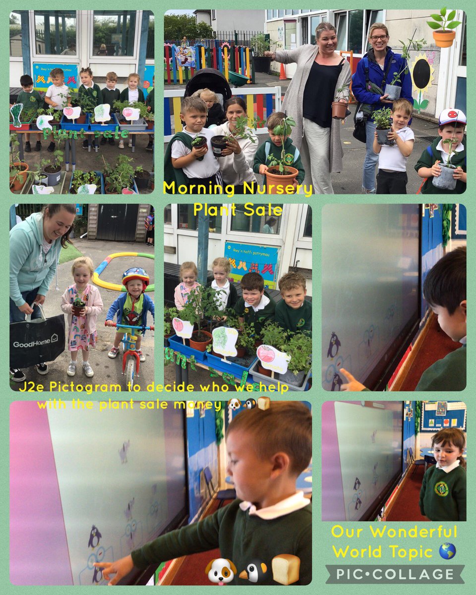 What green fingers we have in Nursery! They have looked after their plants so well. AM nursery held a little plant sale to raise money so that nursery could help make our world even more wonderful. Both classes decided who to help, ask them all about it! <a href="/PenllergaerP/">Penllergaer Primary</a> #ppscom