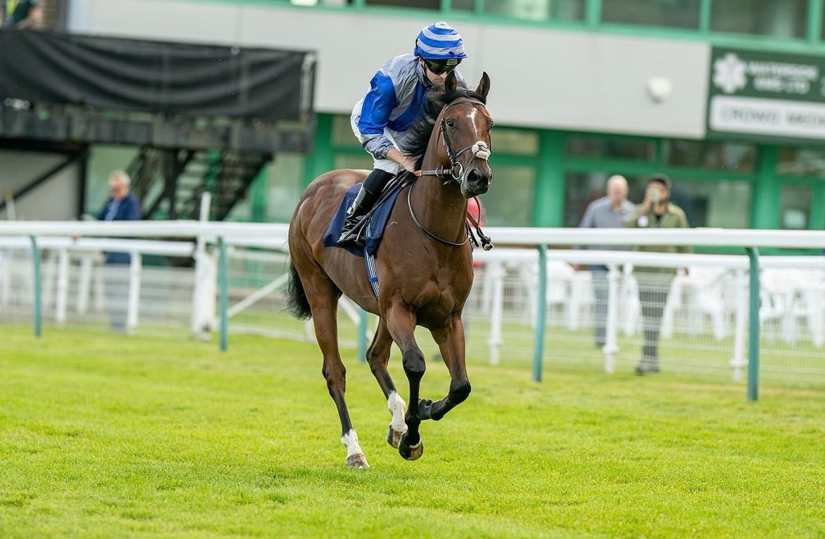 2️⃣ Two year old 𝐰𝐢𝐧𝐧𝐞𝐫𝐬 in three days

🥇𝐀𝐥𝐚𝐬𝐡𝐨𝐬 &amp; 𝐅𝐨𝐮𝐞𝐭𝐭é win <a href="/LingfieldPark/">Lingfield Park</a> and <a href="/GTYarmouthRaces/">Great Yarmouth Races</a> respectively. Steered to victory by Adam Farragher

Thank you to our hardworking Team at home. Both were sourced at <a href="/Tattersalls1766/">Tattersalls</a> Book 2 last year by Horton