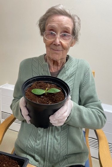 BeechfieldLodge's tweet photo. Some of our lovely residents planting cucumbers, strawberries and spring onions 🍓🥒
@AnchorLaterLife @RachelDoddSmit2 @Steve_Vessey #potgang https://t.co/LT0caxgNan