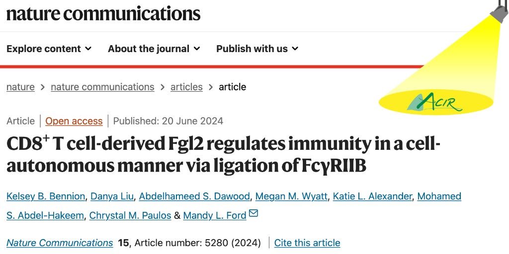 Bennion et al. showed that exhausted antigen-specific PD-1+TCF-1− CD8+ T cells secreted the immunoregulatory cytokine fibrinogen-like protein 2 (Fgl2), which regulated CD8+ T cell responses against [...] bit.ly/4eRfIYQ  <a href="/WinshipAtEmory/">Winship Cancer Institute of Emory University</a>  @emoryuniversity <a href="/BennionKelsey/">Kelsey B. Bennion</a>