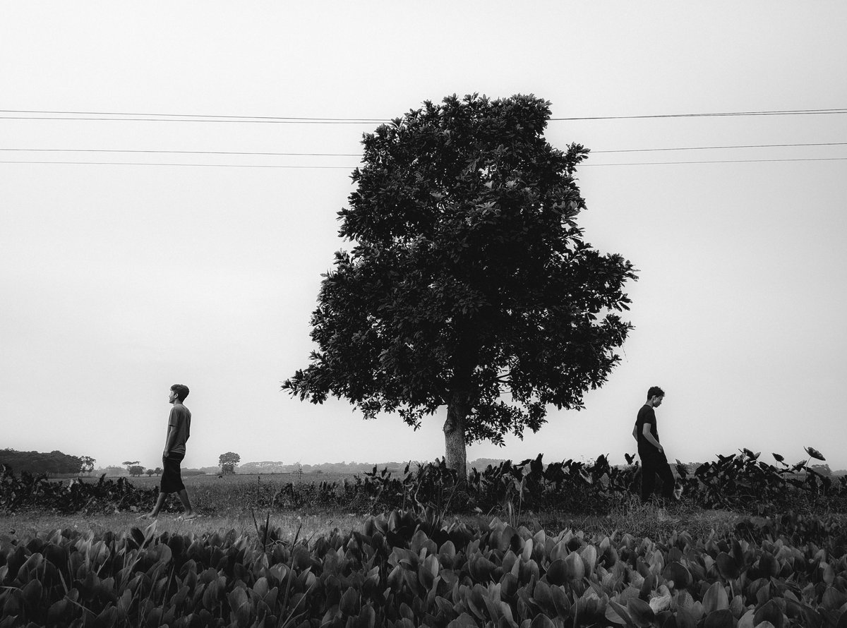 md_adilahnaf's tweet photo. The image depicts a picturesque rural scene.
#bangladesh #winter #Monochrome https://t.co/n6hhcEy2LN