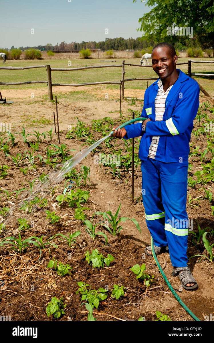 David Lammy already hard at work growing cervixes.
