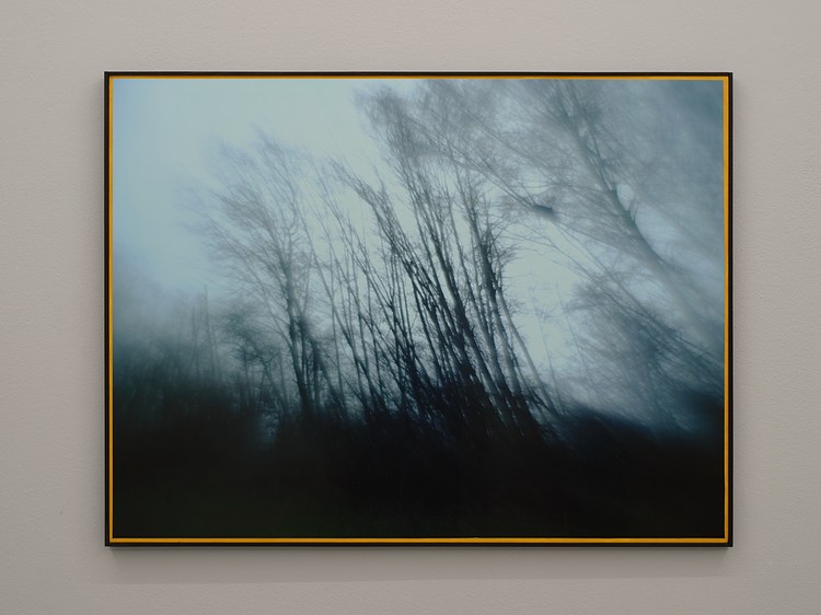 Pin Basics tweet media