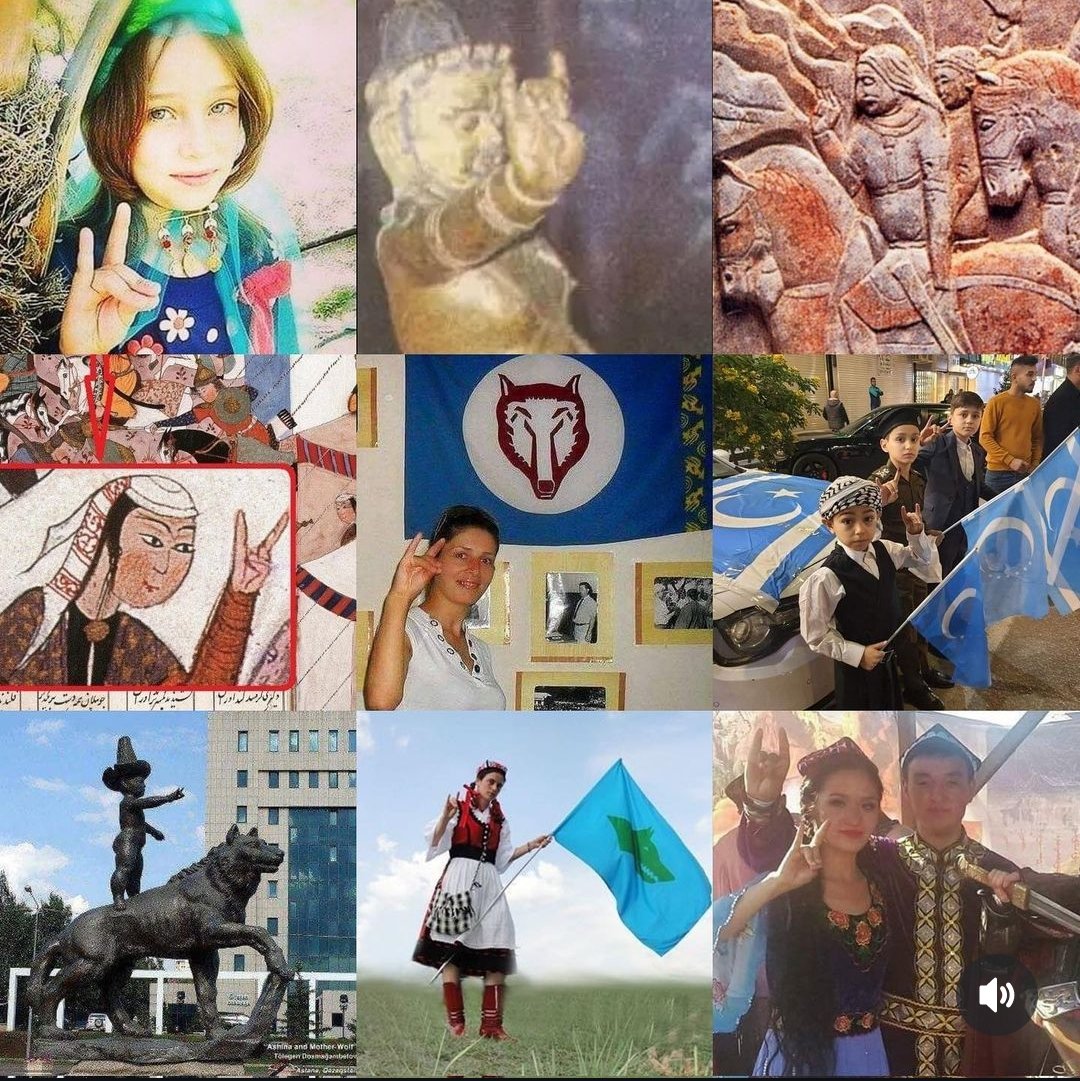 Bozkurt Türklüğün sembolüdür.

#BeFairUEFA