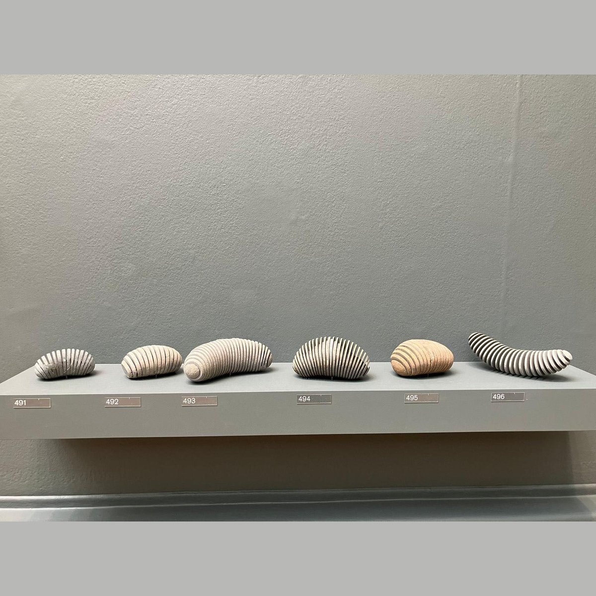 Down Amongst the Trilobites at the RA Summer Exhibition 2024 - se.royalacademy.org.uk/2024/artworks/… - peterrandall-page.com/sculptures/dow… - #peterrandallpage #contemporarysculpture #londonexhibition #rasummer #rasummerexhibition #recentwork #royalacademyofarts #royalacademysummerexhibition #sculpture