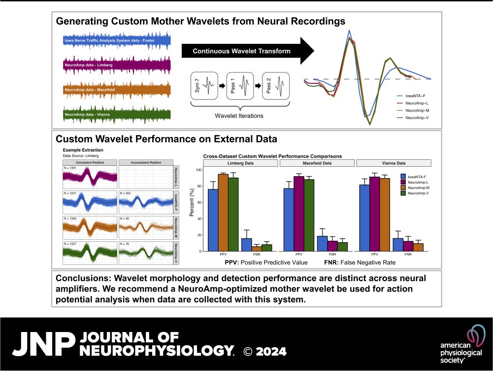JNP (@jneurophysiol) on Twitter photo New #ShortReport "A comparison of wavelet-based action potential detection from the NeuroAmp and the Iowa Bioengineering Nerve Traffic Analysis system" by Scott F. Thrall et al.
ow.ly/3l6l50SuBf9
<a href="/FosterGlen/">Glen Foster, Ph.D.</a> <a href="/lauro_vianna/">Lauro Vianna</a> <a href="/AndrewDsouz/">Andrew D'Souza</a> #ActionPotentialRecruitmentStrategies New #ShortReport "A comparison of wavelet-based action potential detection from the NeuroAmp and the Iowa Bioengineering Nerve Traffic Analysis system" by Scott F. Thrall et al.
ow.ly/3l6l50SuBf9
<a href="/FosterGlen/">Glen Foster, Ph.D.</a> <a href="/lauro_vianna/">Lauro Vianna</a> <a href="/AndrewDsouz/">Andrew D'Souza</a> #ActionPotentialRecruitmentStrategies