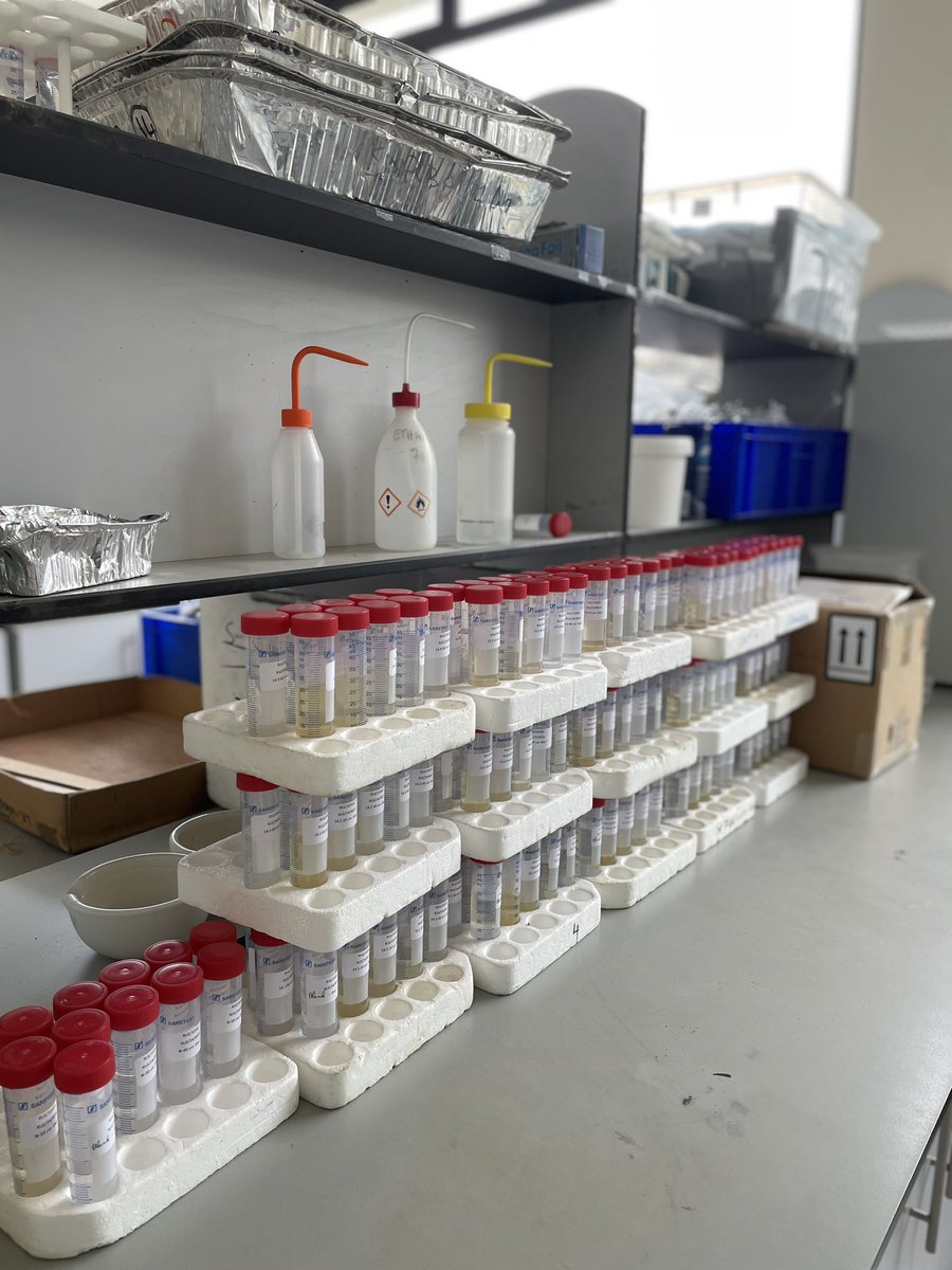 FINAL wind-up of Site 1 samples. So much hard work &amp; perseverance to get here! 💪 Brutal, grueling hours, but rewarding to see it all come together. Can’t wait for the results soon

Field Campaign 2 starts Tuesday. Let’s go! 🛻 Where’s the ranger at?

#SoilSampling #NitrogenStory