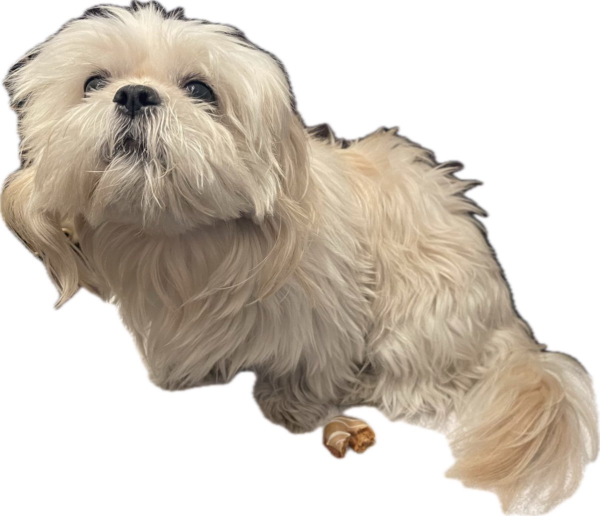 LarryChiang's tweet image. There is no whining 
#InsideBaseball 

It’s up $56,185 and people are cryin’