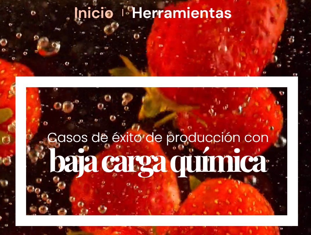 ✅ Visita el sitio web:
alternativasaplaguicidas.cr y conoce testimonios de productores/as costarricenses 🇨🇷 sobre casos de éxitos de producción con baja carga química, amigables con el medio ambiente 🌳☀️🍓🍌🍉

¡Todas y todos podemos contribuir a contrarrestar la contaminación de