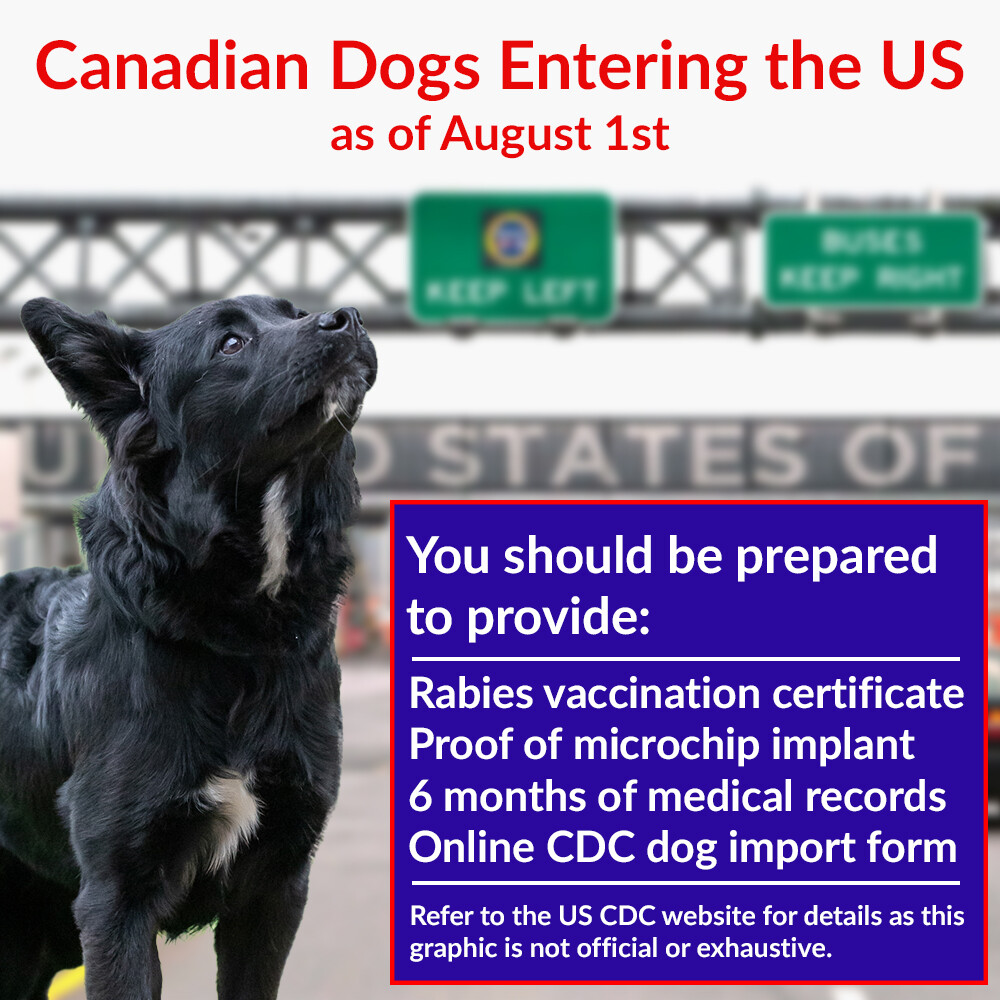 Niagara SPCA & Humane Society tweet media