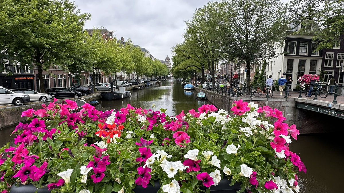 ElCidFan's tweet photo. Walking around Amsterdam, while the ladies go to Taylor Swift https://t.co/KKshUrfgxC