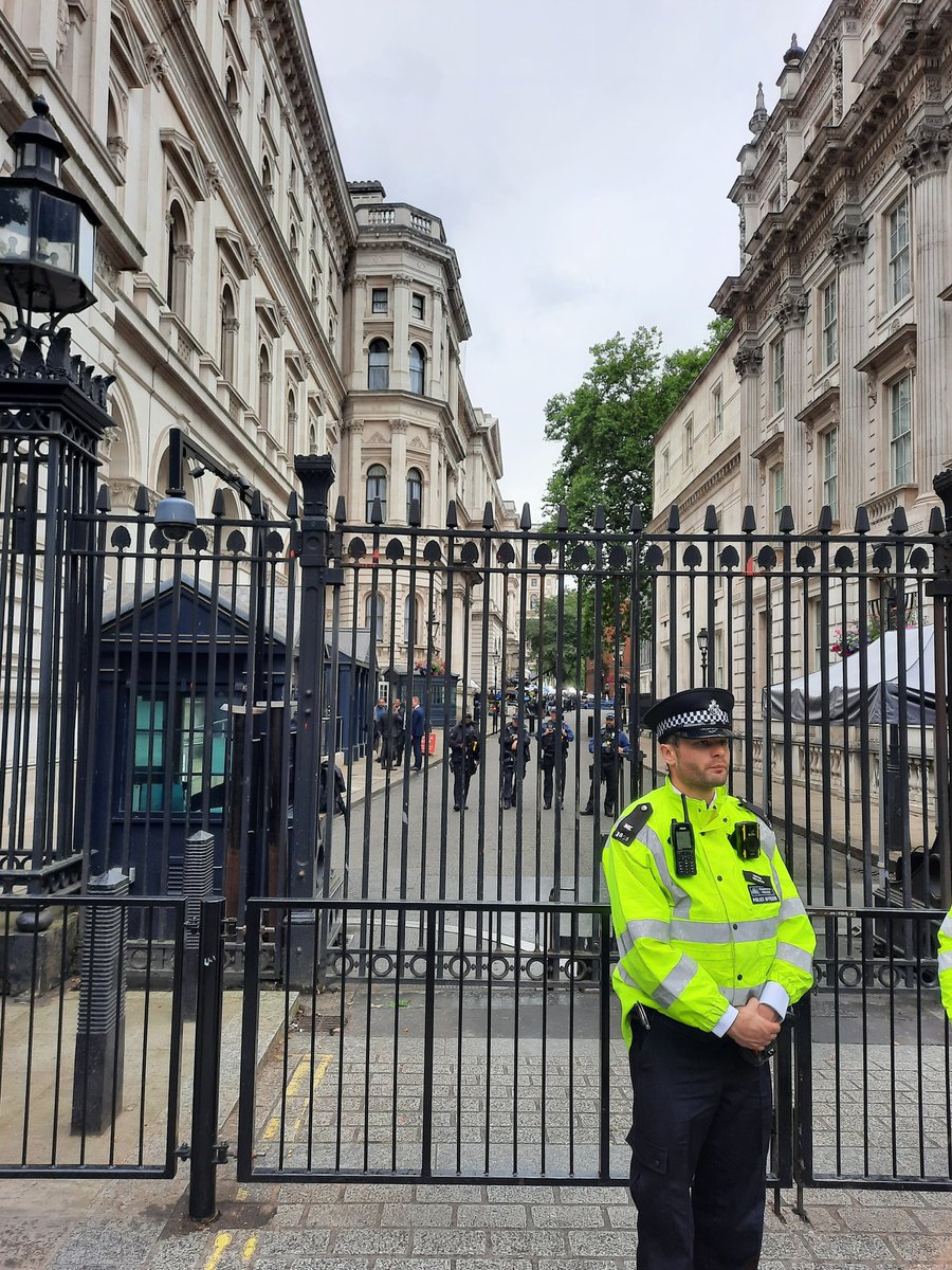 Fran Perrow💙🇺🇦 tweet media