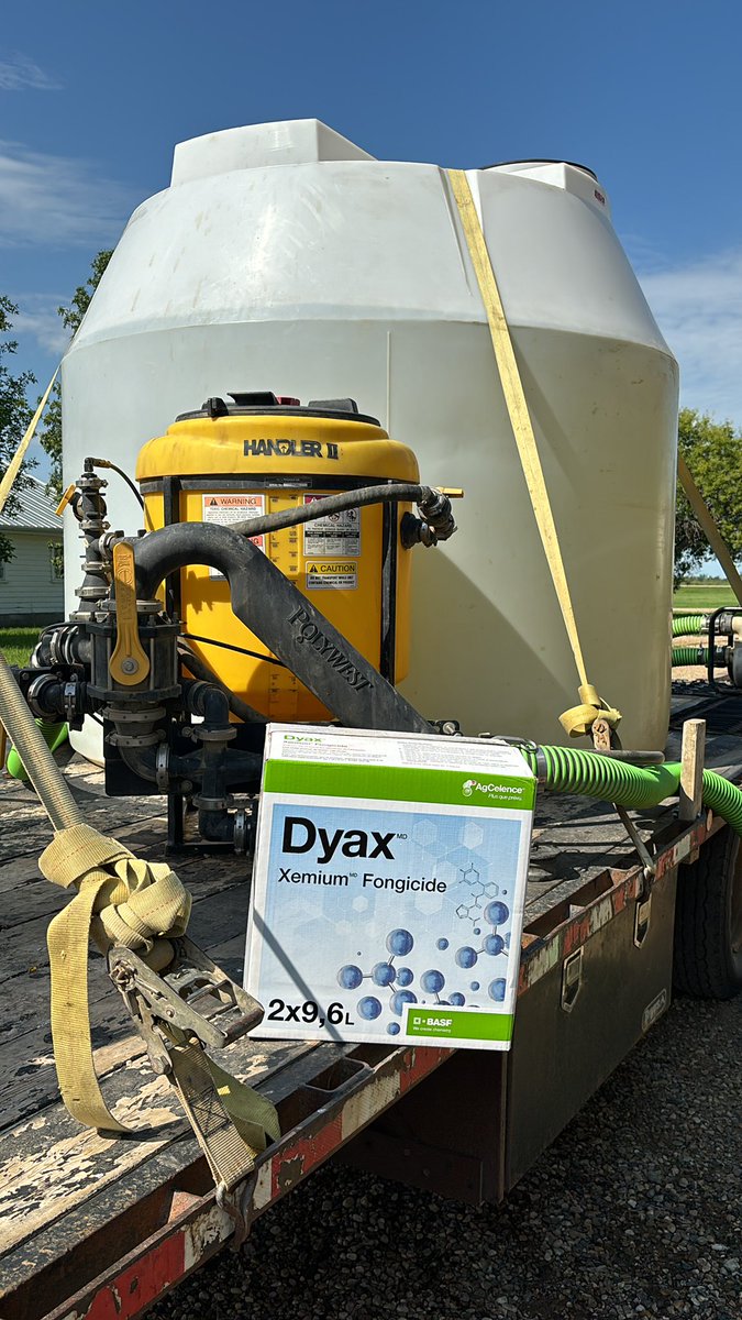 DarcyFriesen65's tweet photo. It’s this time of year. #BASF #Dyax #lentils #wet #2024 https://t.co/j7c0Yp9rzG