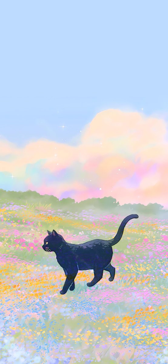 awpSOL5's tweet photo. okay i put black cat https://t.co/Rbj86OpjKQ