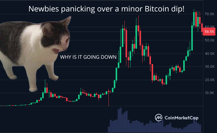 CryptoEconomyEN's tweet photo. Newbies panicking over a minor Bitcoin dip 😂
HODL tight and enjoy the dip like a pro!💎
#CryptoNoobs #HODL #BuyTheDip #Bitcoin #BTC #CryptoLife https://t.co/EfQ9sXWv0Q