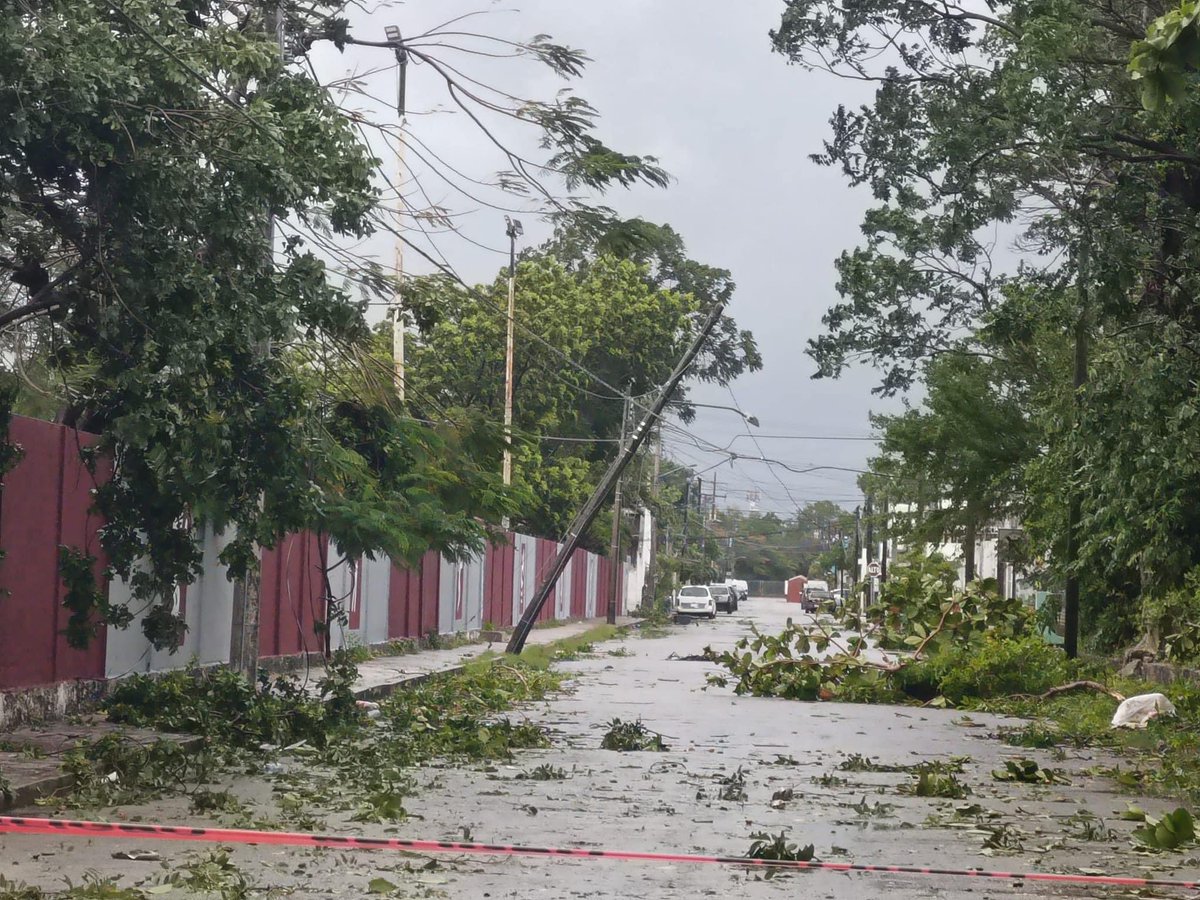 Qroo En Línea  tweet media