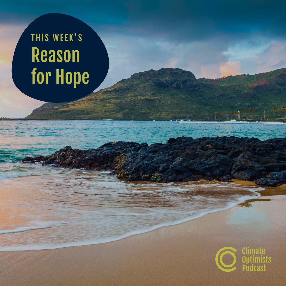 ClimateOptimistsPodcast tweet media
