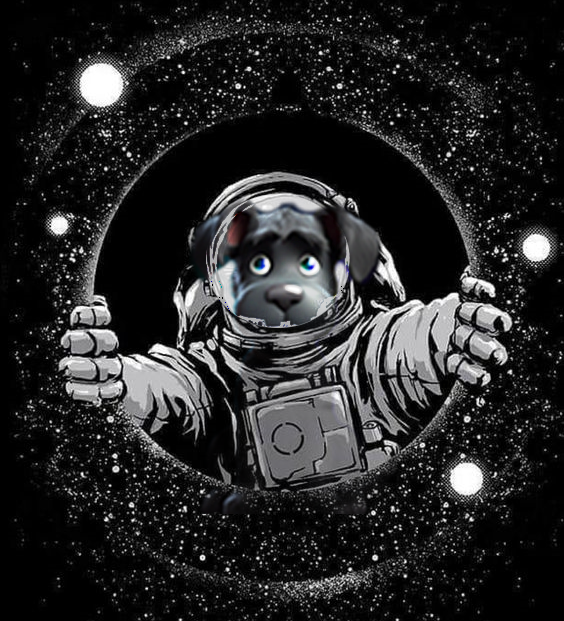 partyficial's tweet photo. Actual footage of $Myro getting back into space after being swept by the market turbulence! πββ¬πͺπ
#MYRO #MYROArmy #Meme #SolanaSummer https://t.co/V62sj4A15h