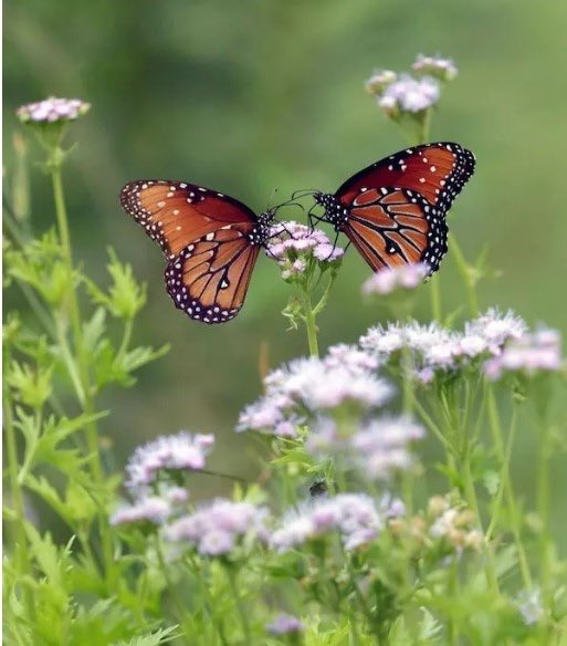 74 todays temp on this Friday 
In Carlsbad California 🌤️🌊
Keep kool and safe everybody 🙏
🩵☕️☕️💦🎭🎸🇺🇸🇺🇦🇮🇱🇬🇧