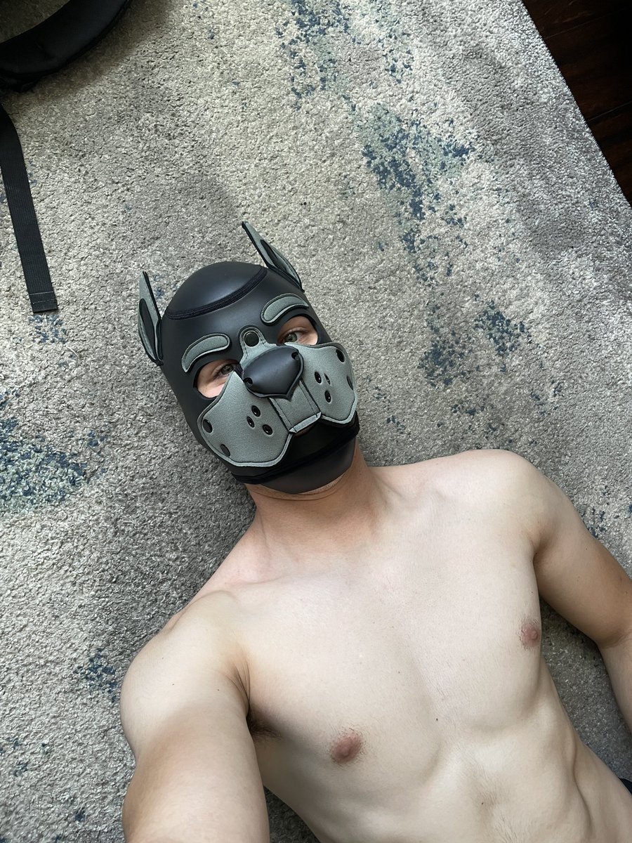 PupPhoton tweet media