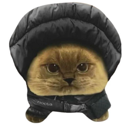 Shitcoin Sherlock tweet media