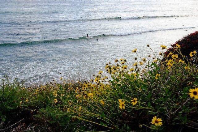 74 todays temp on this Friday 
In Carlsbad California 🌤️🌊
Keep kool and safe everybody 🙏
🩵☕️☕️💦🎭🎸🇺🇸🇺🇦🇮🇱🇬🇧