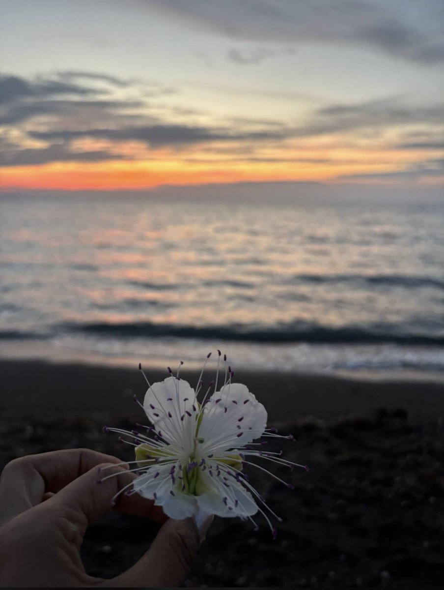En sevdiğim dakikalar ♥️