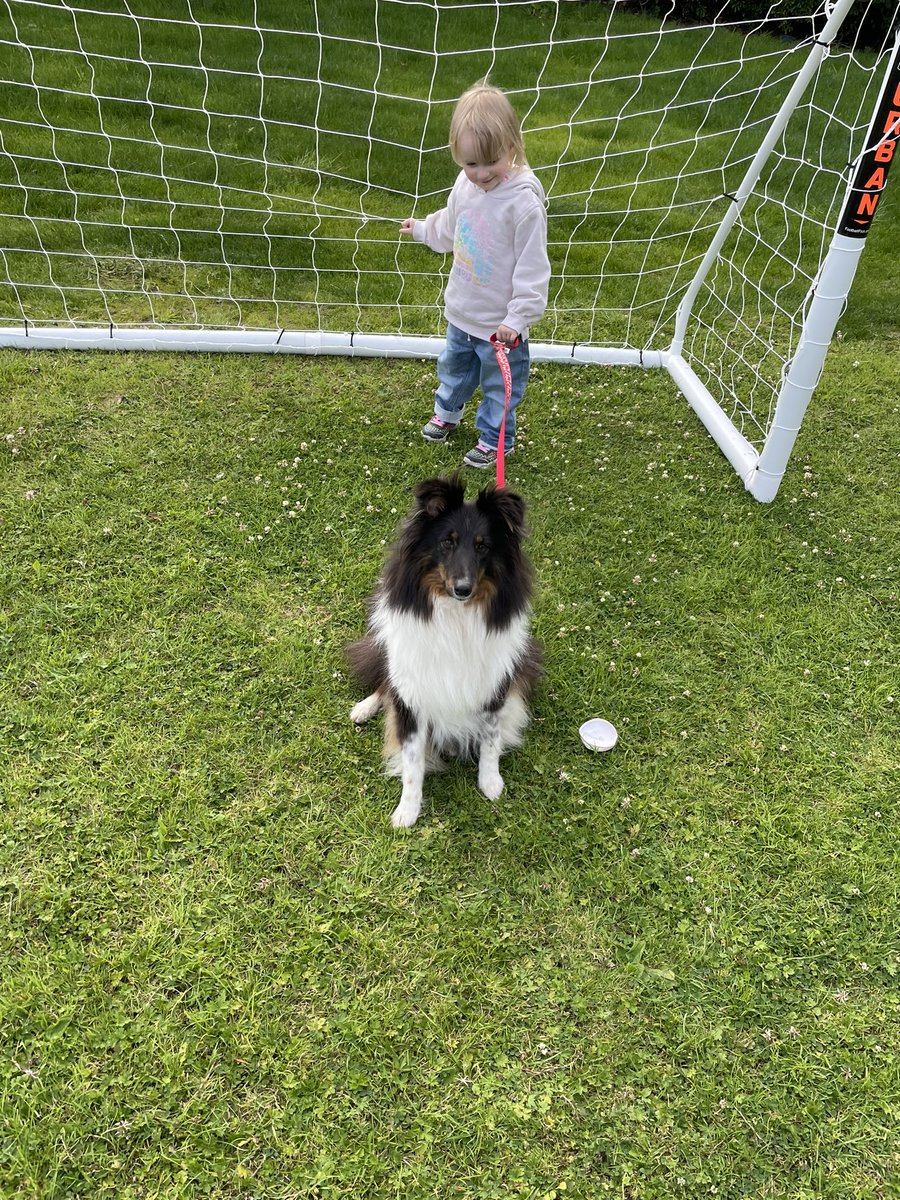 Prof AJ McKnight tweet media