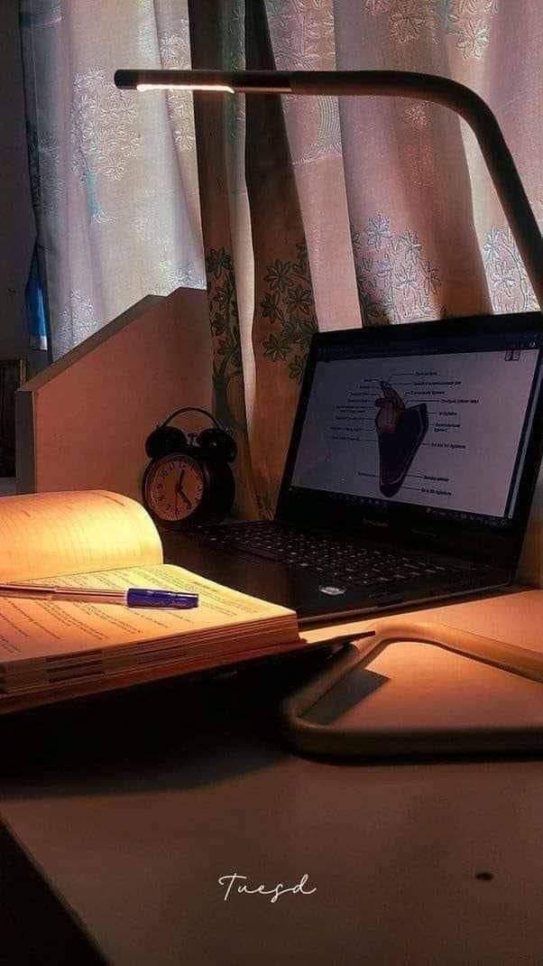 د حالاتو څخه مننه کوم 
         چې ماته یې را زده کړل 
چې څنګه هر یو ته د هغه
      ریښتیني ارزښت ورکړم ..♡
❤️. 
ستاسو خوستي