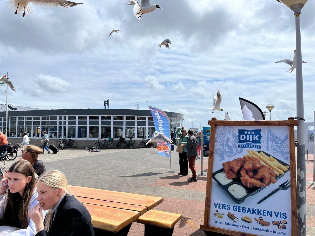 SVBorger0599's tweet photo. 🟢⚪️ ‘t  A A I L A N D 🏝️ 

Voelt als thuiskomen voor de mannen van het derde. 

Veel plezier heren! 🍻 

#BorgerLeeft💚 #Terschelling https://t.co/IC9JGQ5SEW