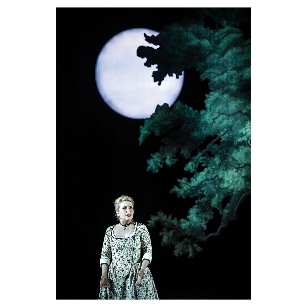 Craig Fuller Photography tweet media