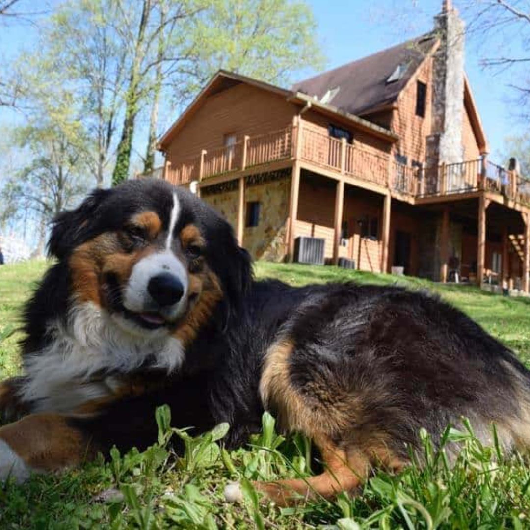 recoverydotcom's tweet image. S2L Recovery is a men-only, faith-based residential and detox center located in the hills of central Tennessee offering a 6-week program and longer stays. Learn more: recovery.com/s2l-recovery-t…

#tennessee #tennesseerehab #meninrecovery #mensmentalhealth #detox #residentialrehab