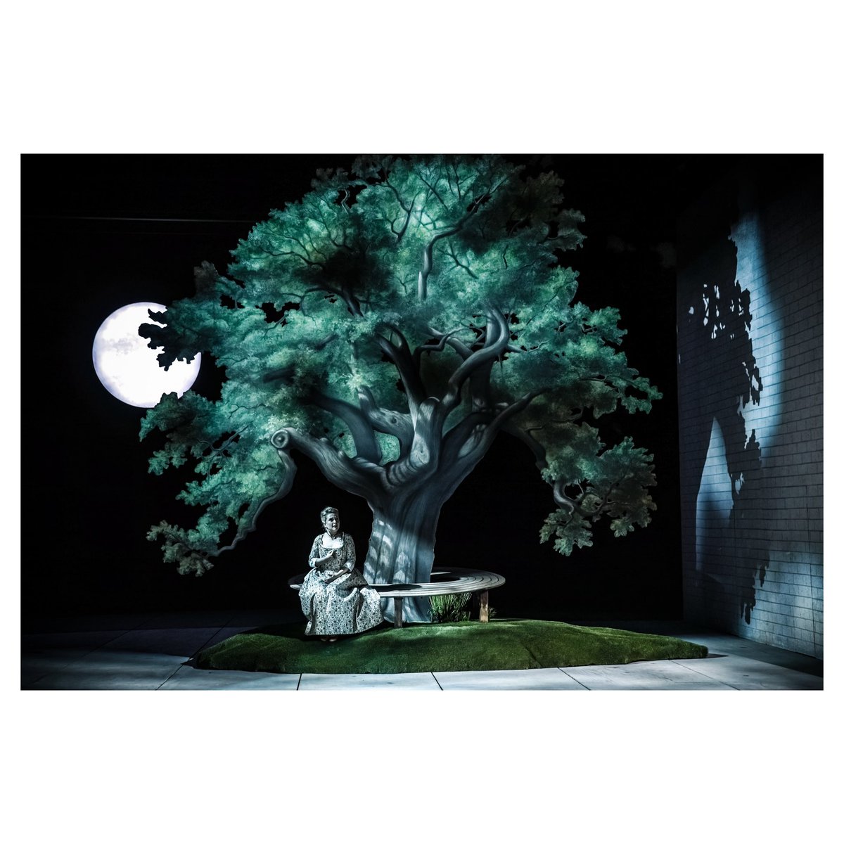 Craig Fuller Photography tweet media