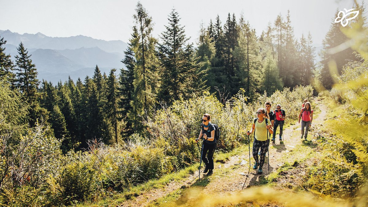 Ready for a multi-day adventure in the Dolomites?⛰️ Join "Let's Dolomites" for guided treks. Explore stunning scenery, with trails for all skill levels ➡️tinyurl.com/LetsDolomitest… 

[📷 D. Molineris]
#visittrentino #trentinowow #summerintrentino