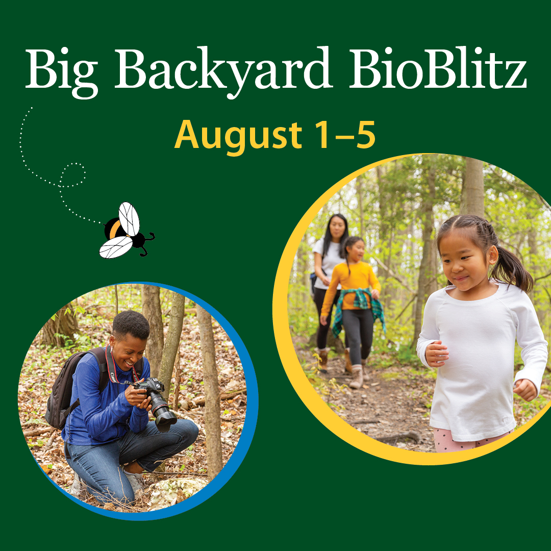 NCC_CNC's tweet photo. Do your part for nature this August long weekend! Just grab your smartphone and photograph the nature and wildlife around you. Your observations can help map and monitor biodiversity across Canada. Sign up now!  ➡️ https://t.co/aX99jBpB0m https://t.co/Slk2GycMPV