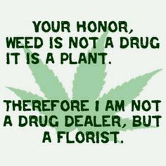 treehousecult's tweet image. Our weed is so good, even your munchies will get the munchies! 🍕😂 #MunchieMadness #HighVibes