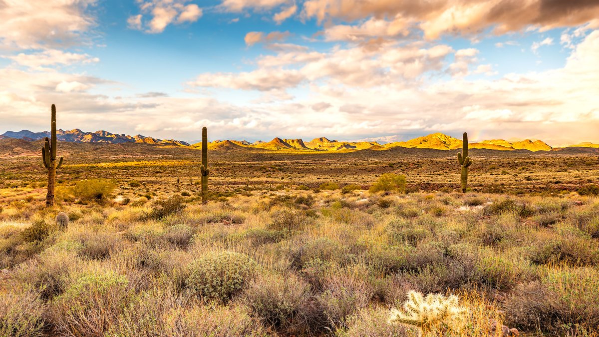 We hope you're enjoying the great outdoors wherever you are this July 4th Weekend. Stay hydrated AND—grab your camera!

#landscapephotography #travelphotography #arizona #thelostdutchman #thegreatoutdoors #explore #americathebeautiful