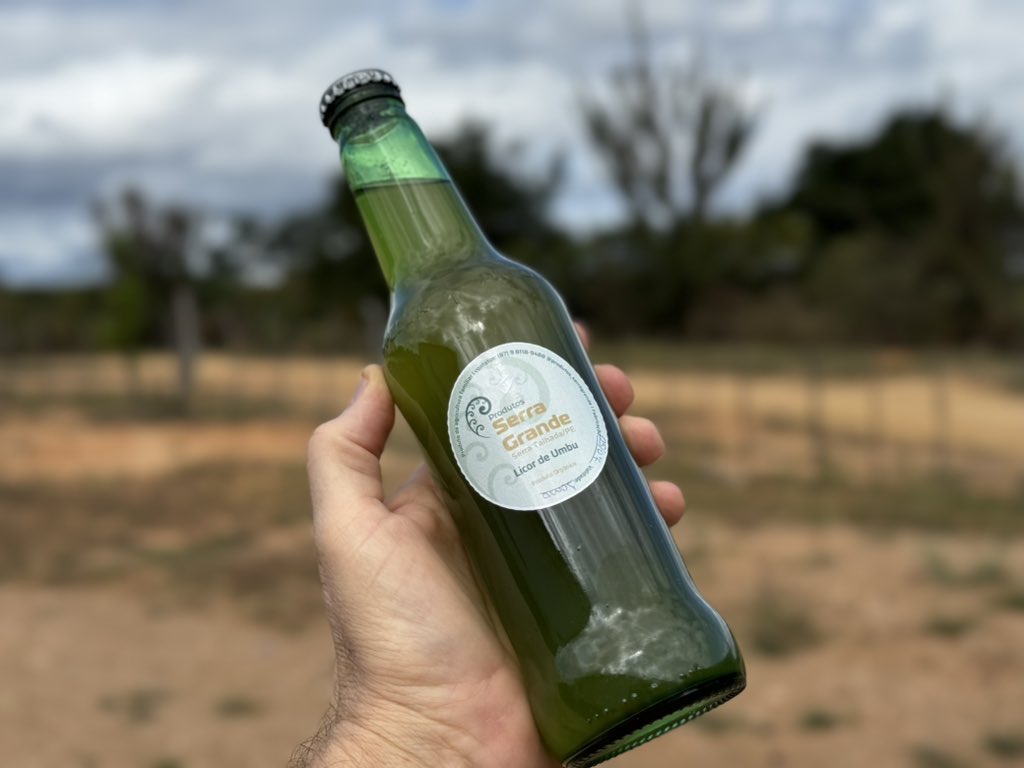 Flávio Costa tweet media