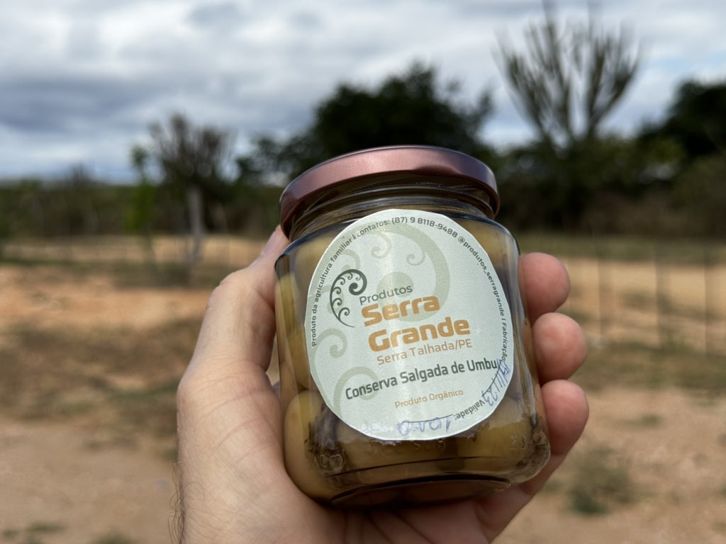 Flávio Costa tweet media